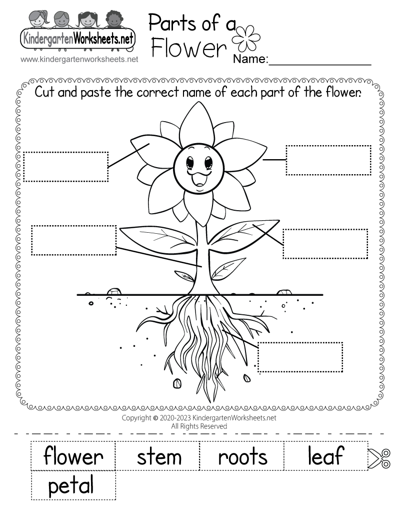 Parts Of A Flower Worksheet - Free Printable, Digital, &amp;amp; Pdf inside Free Printable Worksheets Science