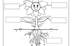 Parts Of A Flower Worksheet - Free Printable, Digital, &amp; Pdf with regard to Free Printable Science Worksheets