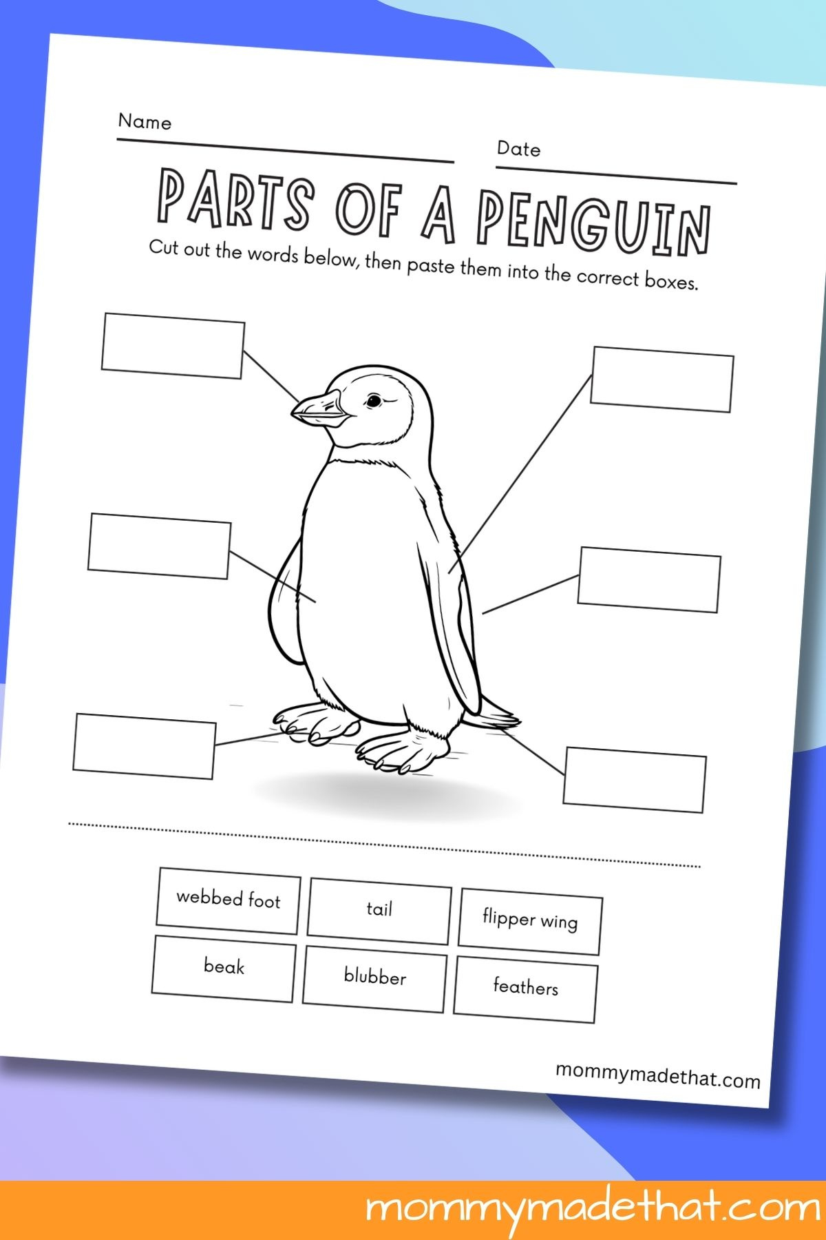 Parts Of A Penguin Worksheets for Free Printable Penguin Worksheets
