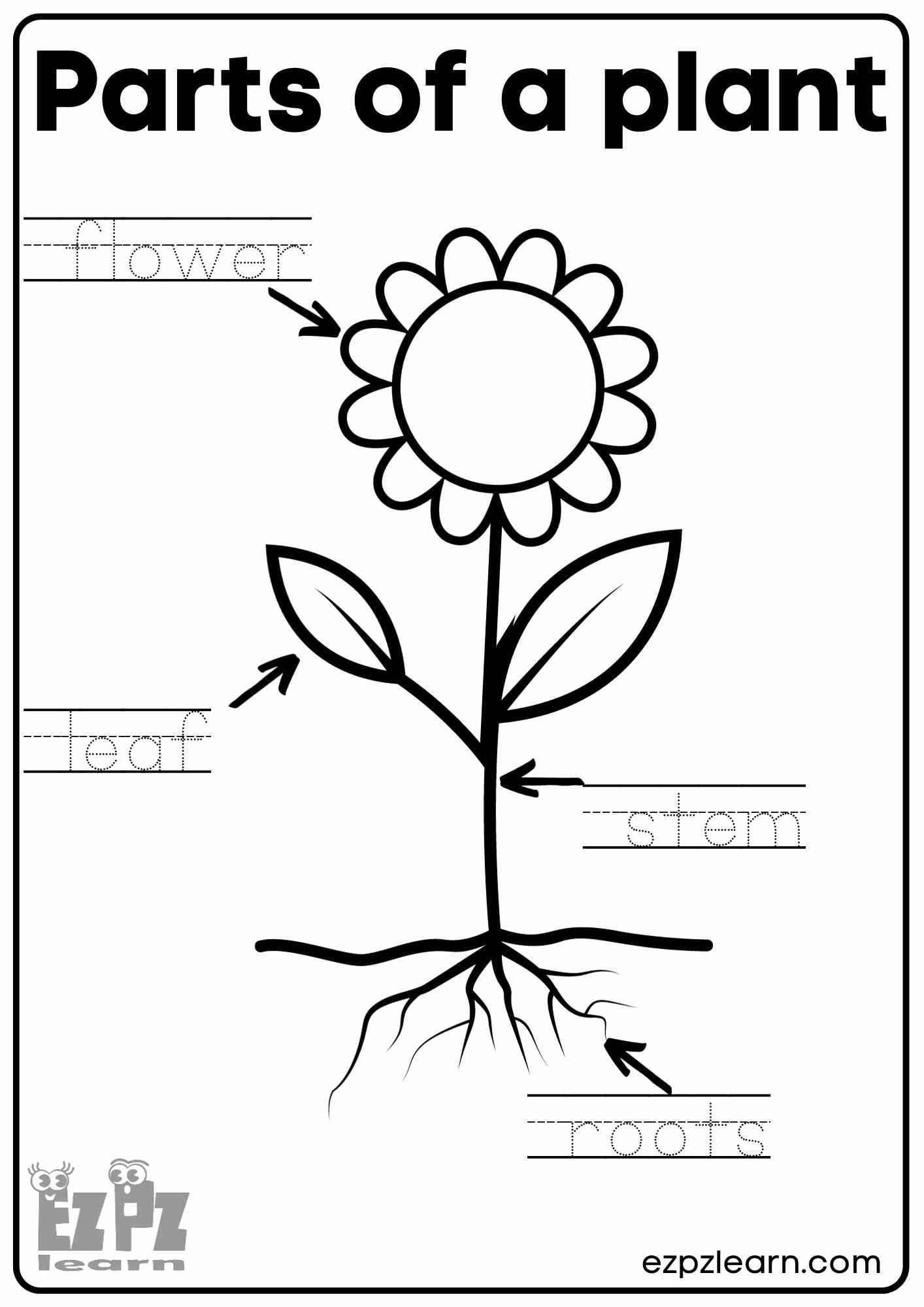 Parts Of A Plant Vocabulary Worksheet Write The Words And Color inside Free Printable Plant Worksheets For Kindergarten