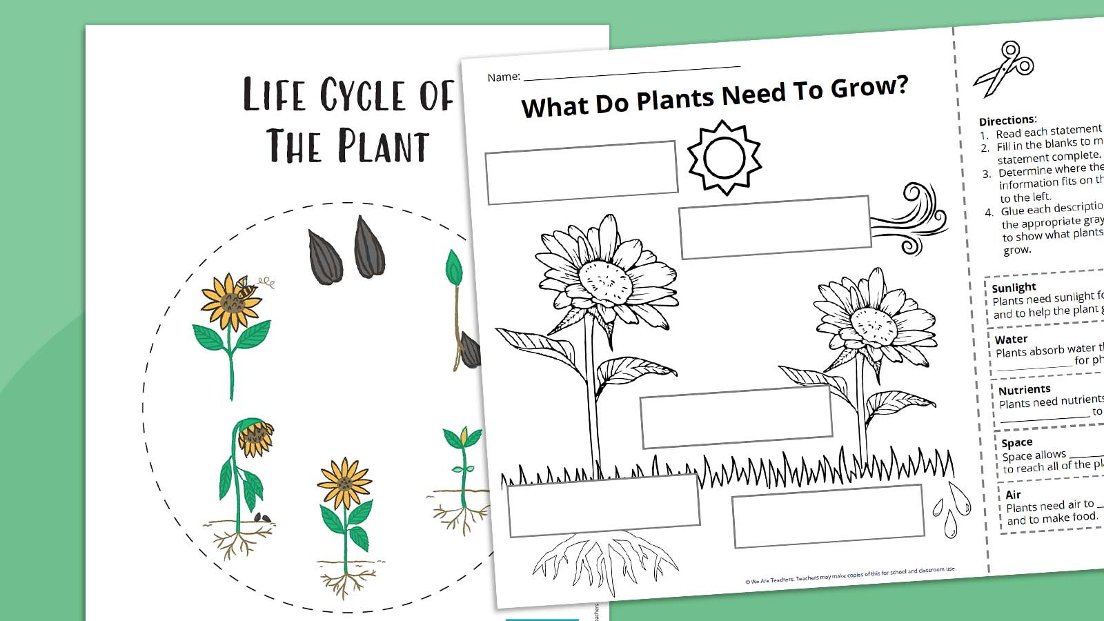 Plant Life Cycle Worksheet Bundle (Free Printables) throughout Free Plant Life Cycle Worksheets Printable
