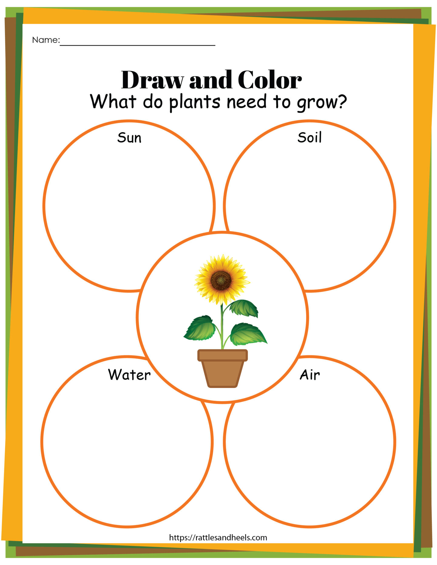 Plant Life Cycle Worksheets Free Printables For Kids - with regard to Free Printable Life Cycle of A Plant Worksheets