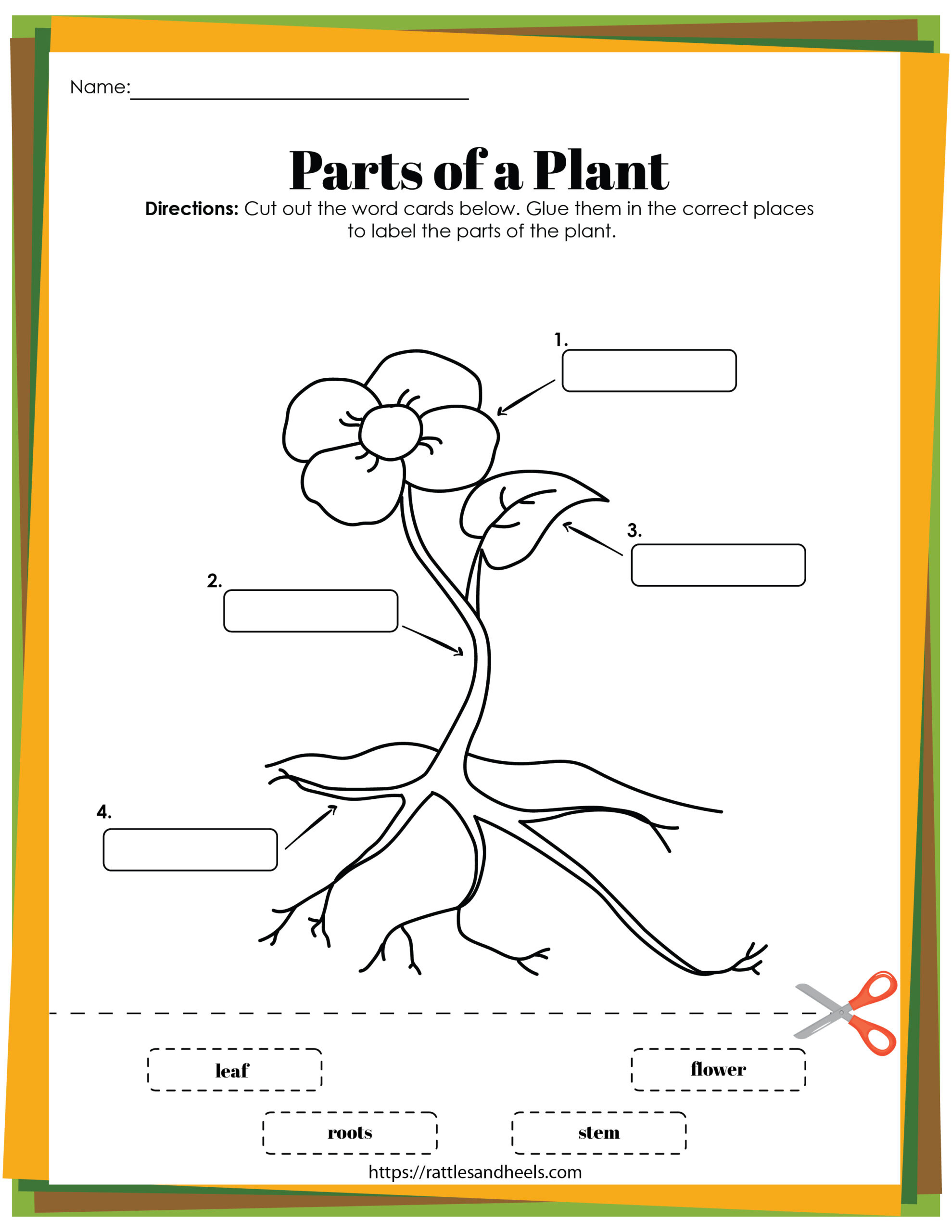 Plant Life Cycle Worksheets Free Printables For Kids - within Free Printable Life Cycle Of A Plant Worksheets
