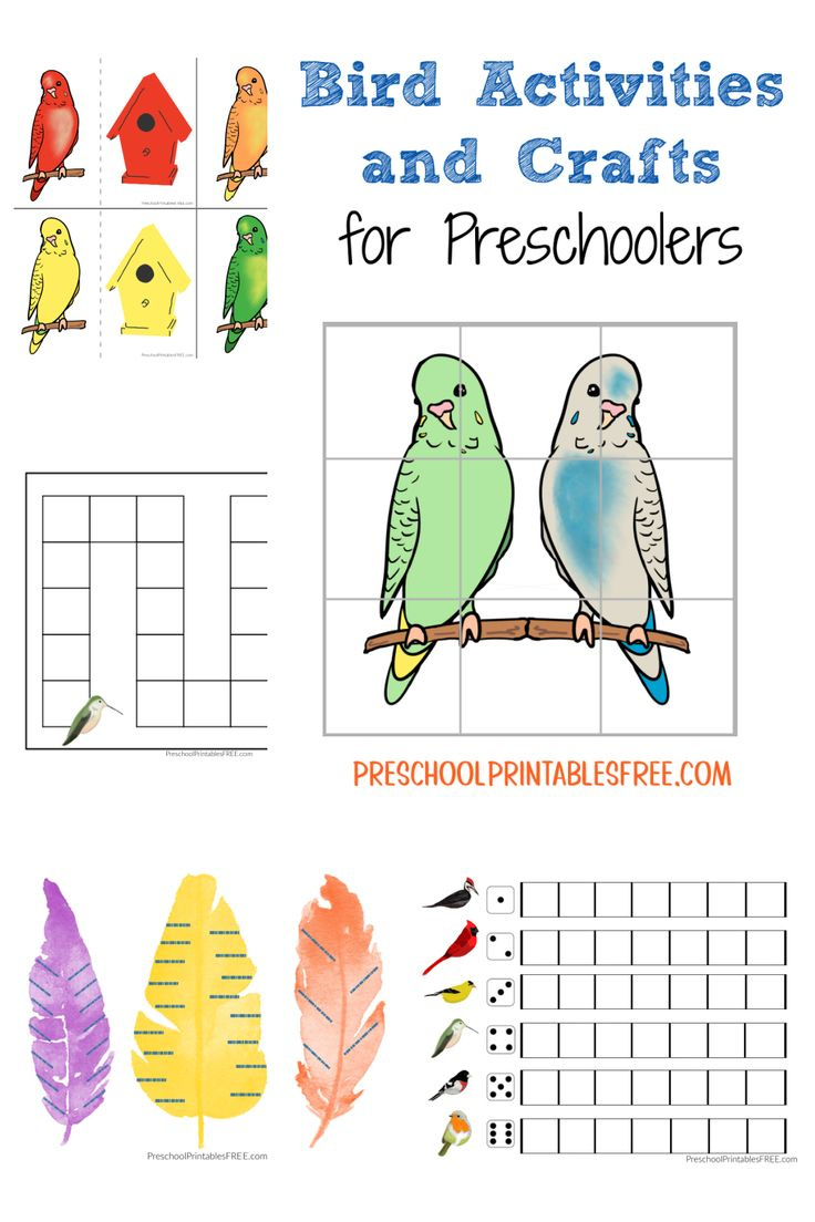 Preschool Bird Activities pertaining to Free Printable Bird Worksheets For Preschoolers