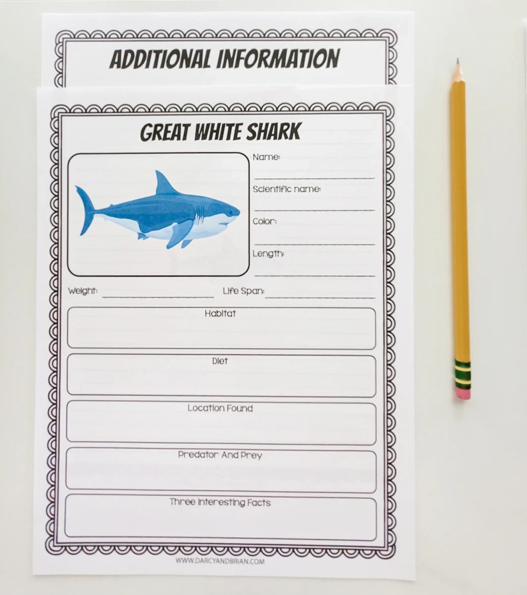 Printable Shark Research Worksheets For Kids throughout Free Printable Shark Worksheets