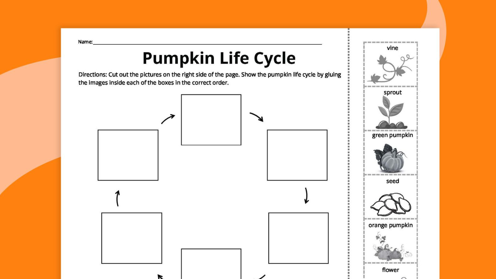 Pumpkin Life Cycle Worksheets For Kids (Free Printables) intended for Free Printable Pumpkin Life Cycle Worksheets
