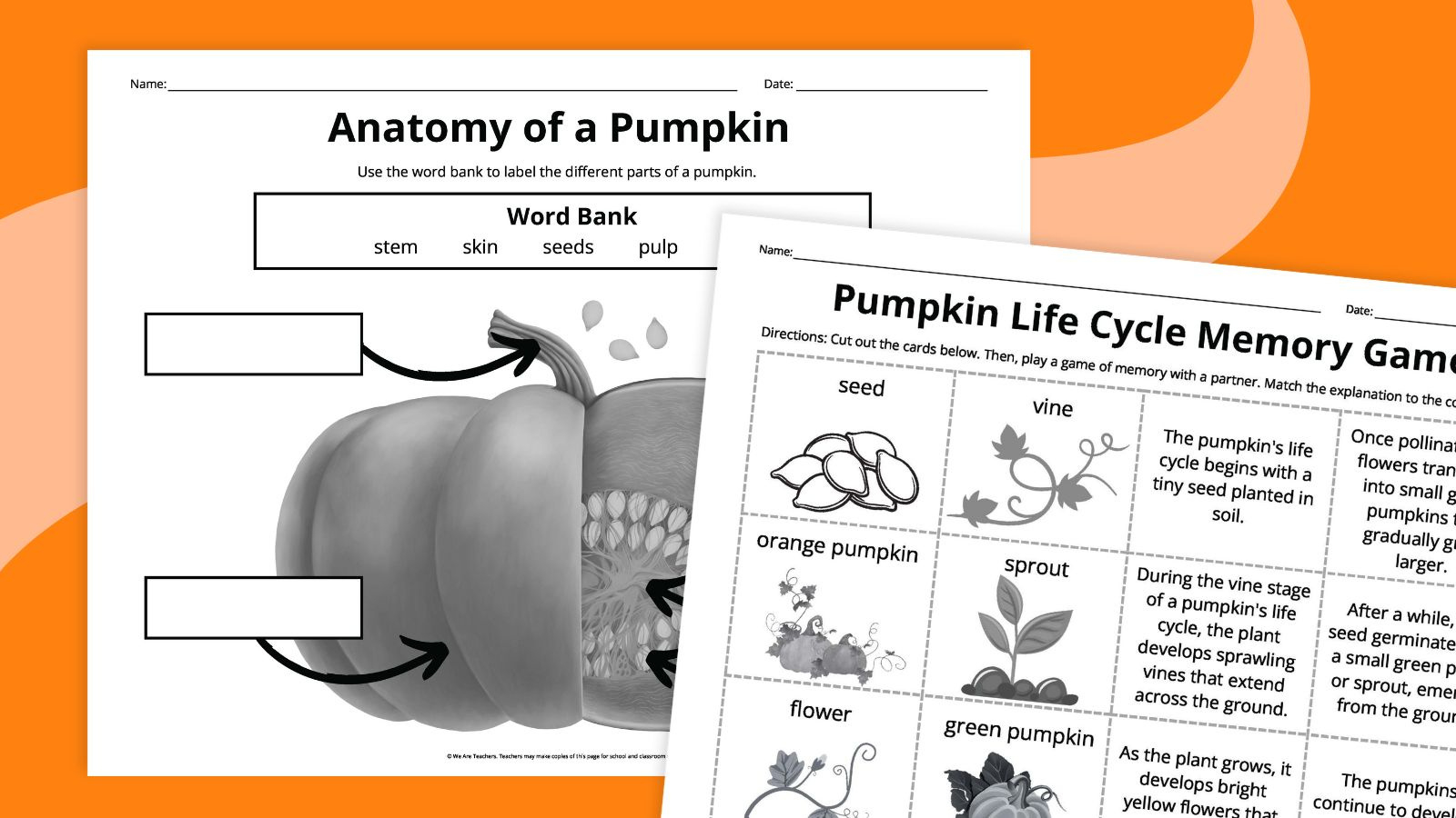 Pumpkin Life Cycle Worksheets For Kids (Free Printables) within Free Printable Pumpkin Life Cycle Worksheets