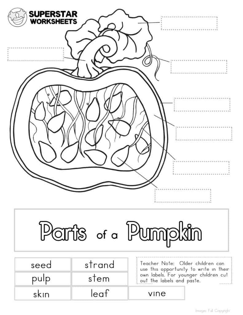 Pumpkin Worksheet - Superstar Worksheets within Free Pumpkin Worksheets Printable