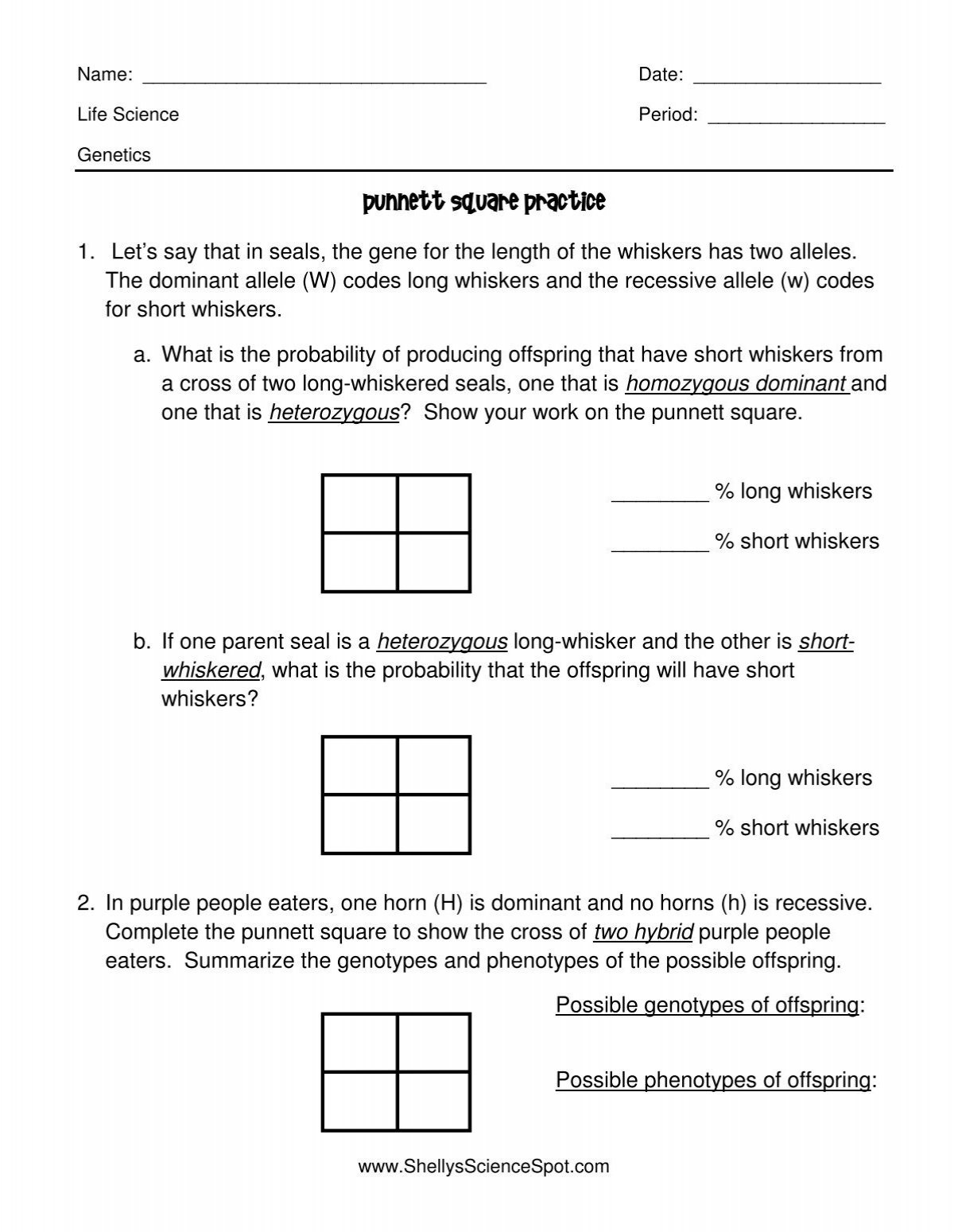 Punnett Square Practice with Free Printable Punnett Square Worksheets