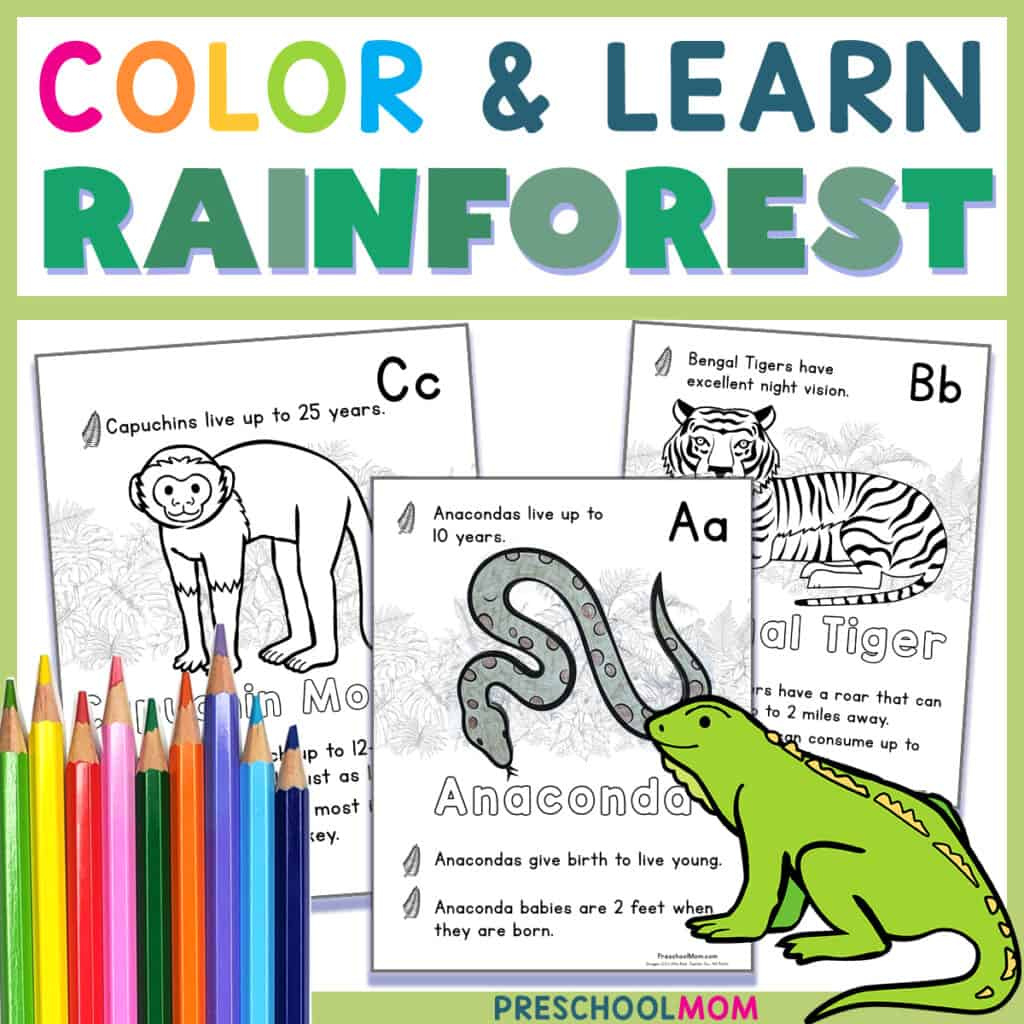 Rainforest Coloring Pages - Preschool Mom with regard to Free Printable Rainforest Worksheets