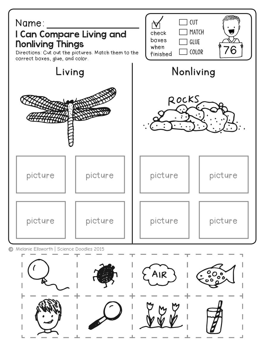 Science Worksheets For Kindergarten (Free Printables) - Worksheets pertaining to Science Worksheets For Kindergarten Free Printable