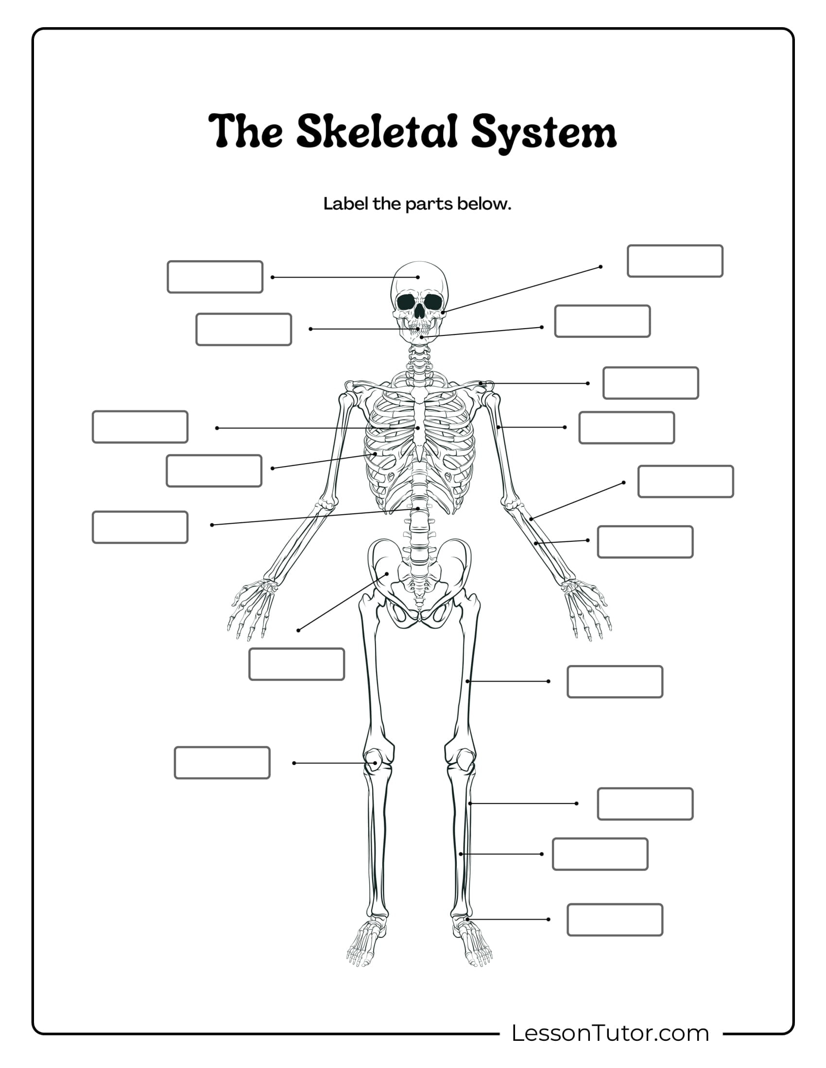 Skeleton System Worksheets - Free Coloring Pages, Pdf Printables for Free Printable Skeletal System Worksheets