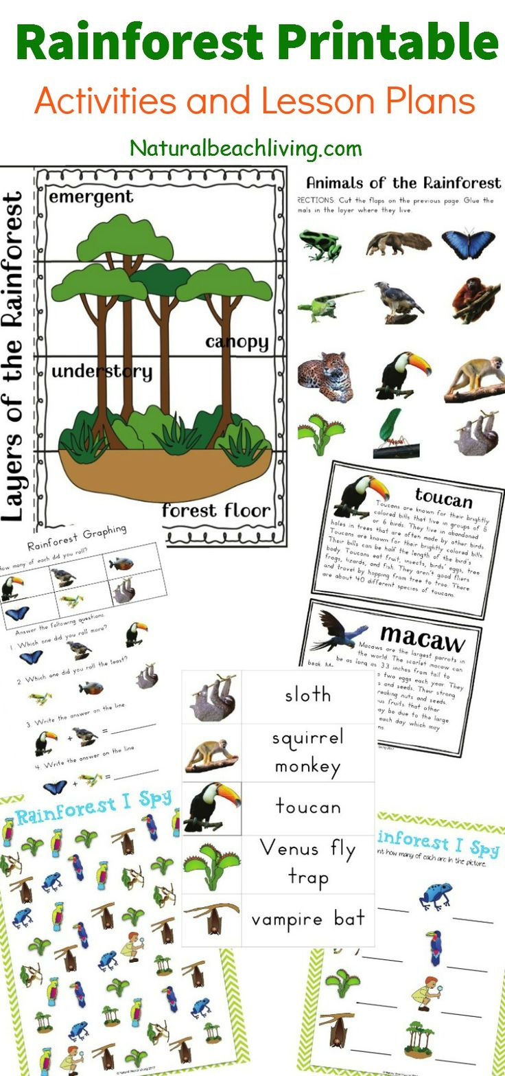 The Best Rainforest Printable Activities For Kids - Natural Beach in Free Printable Rainforest Worksheets