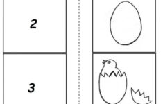 The Life Cycle Of A Chicken Worksheet for Free Printable Life Cycle Of A Chicken Worksheets