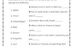 Vocabulary Practice Fossils Worksheet | Live Worksheets intended for Free Printable Fossil Worksheets