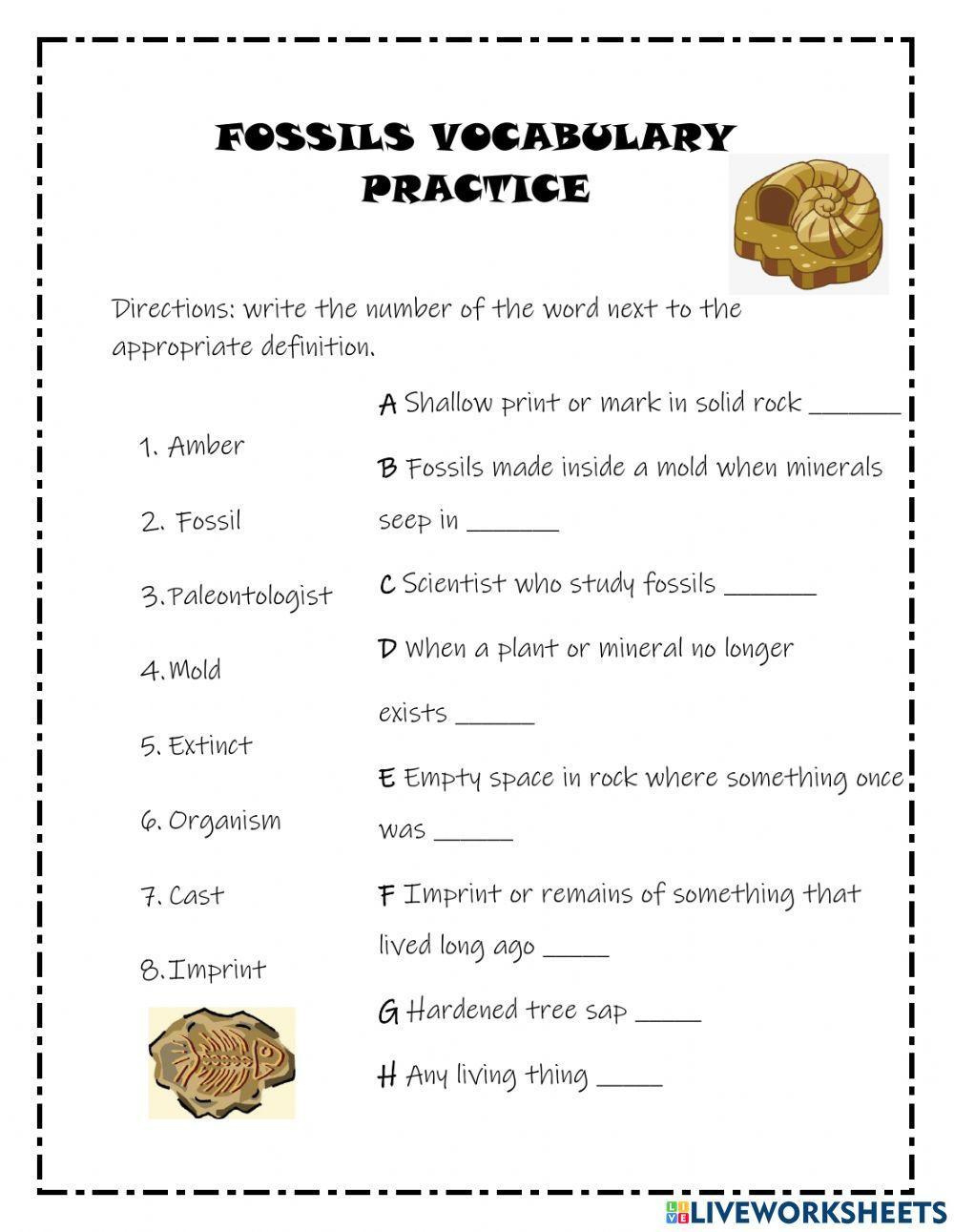 Vocabulary Practice Fossils Worksheet | Live Worksheets intended for Free Printable Fossil Worksheets
