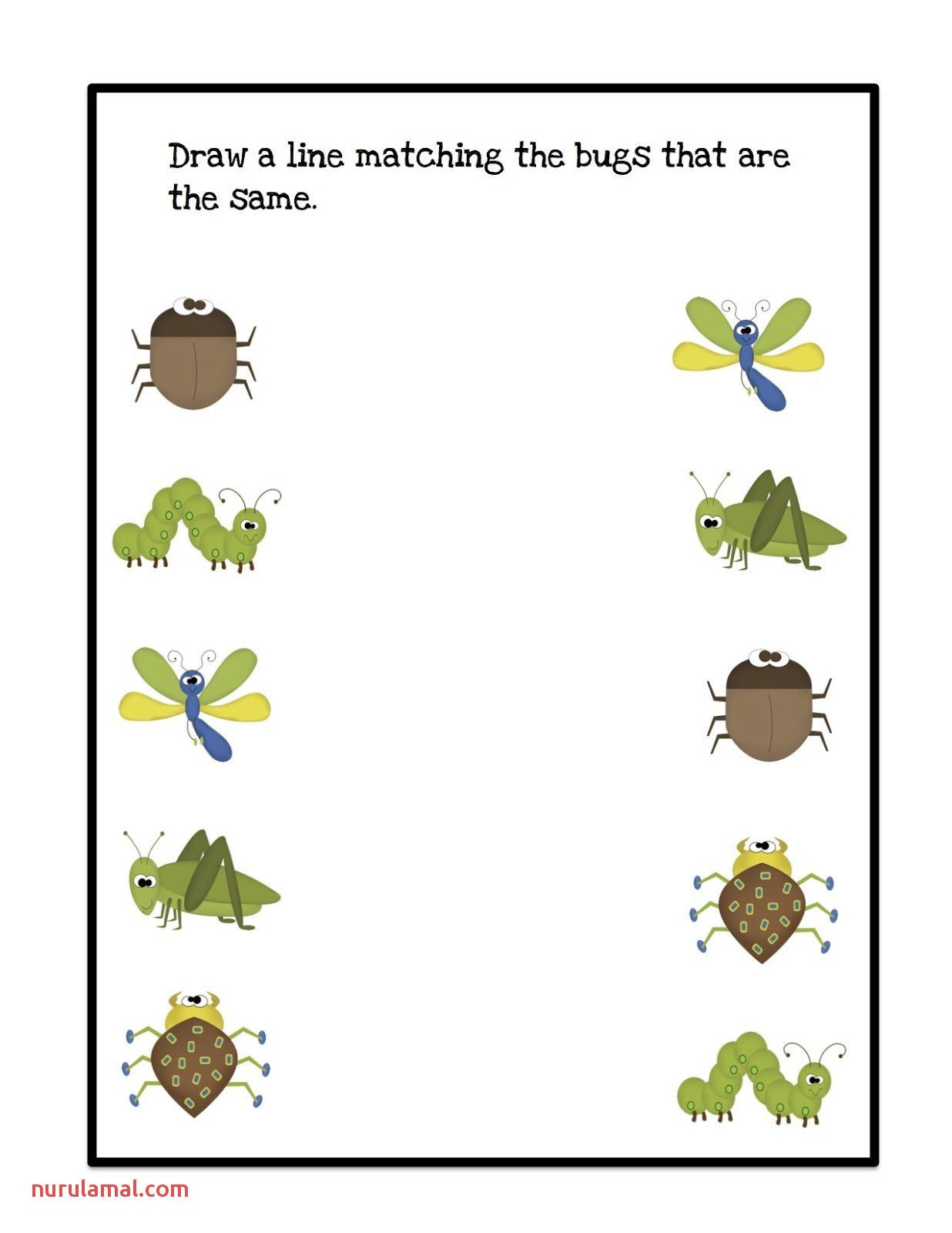 What Is An Insect Worksheets For Preschools - Worksheets Library with Free Printable Insect Worksheets For Preschoolers