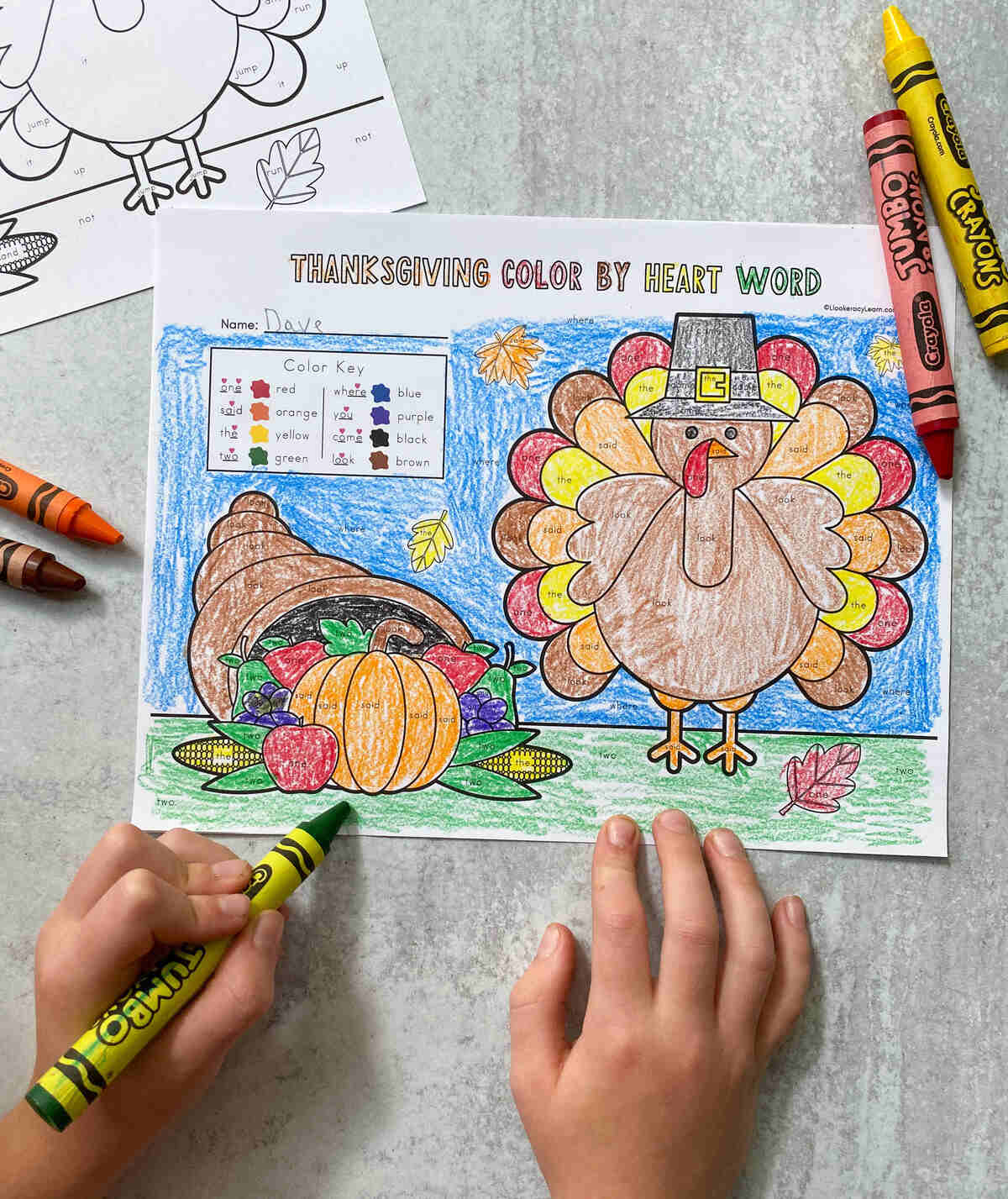 Thanksgiving Colorsight Word Printables - Literacy Learn inside Thanksgiving Sight Word Worksheets