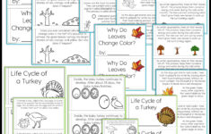Thanksgiving Science Worksheets No Prep Acitivities - Thrifty In regarding Thanksgiving Science Worksheets Free