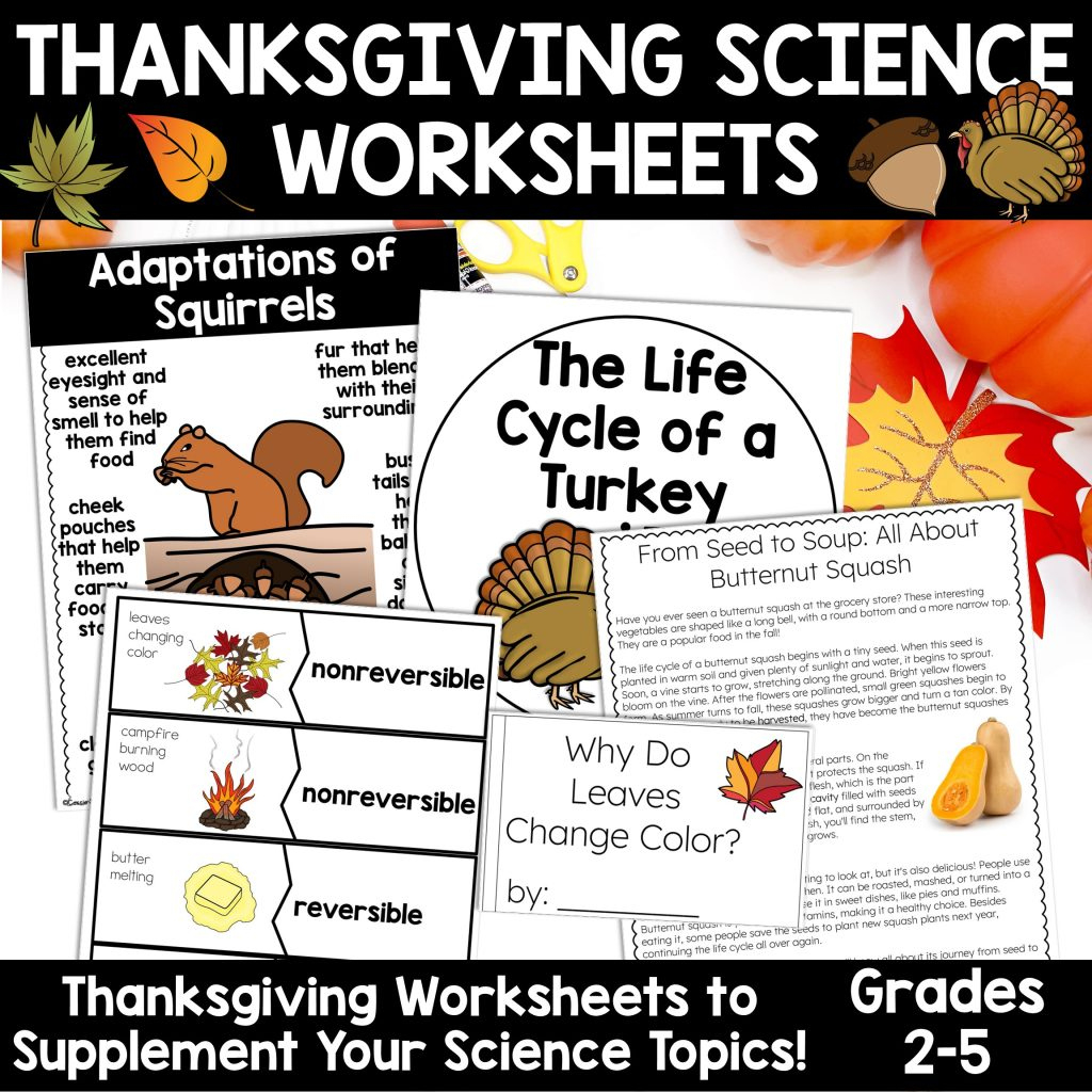 Thanksgiving Science Worksheets No Prep Acitivities - Thrifty In with Thanksgiving Science Worksheets