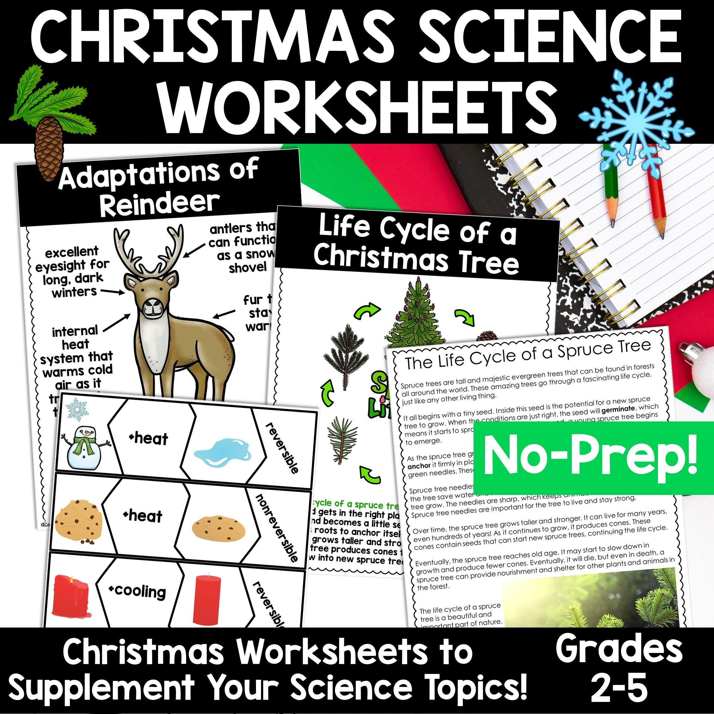 Christmas Science Worksheets No Prep Plants Animals Matter Winter inside The Science Of Christmas Question Worksheets