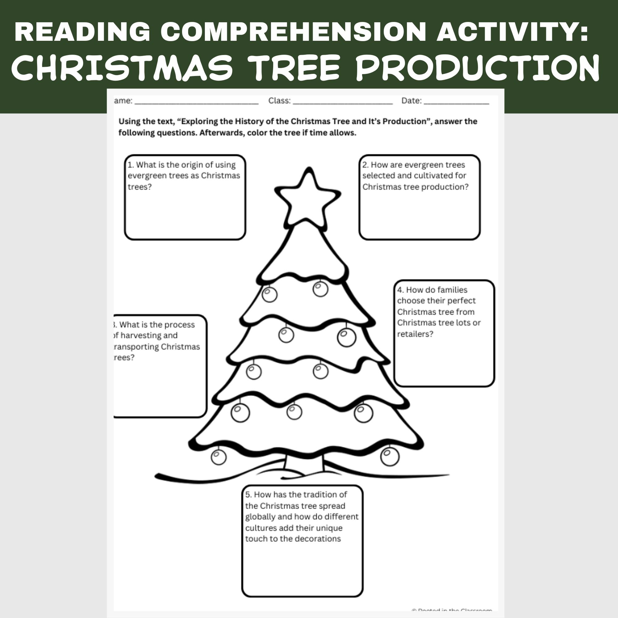 Christmas Tree Reading Comprehension Activity | Agriculture In The with History Of The Christmas Tree Worksheets