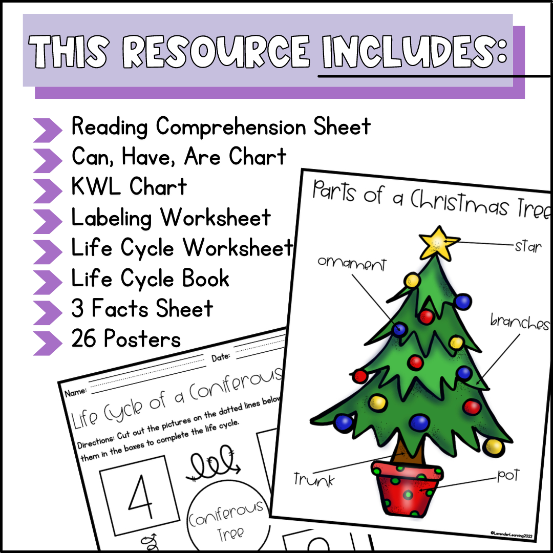 Life Cycle Of A Christmas Tree Activities, Worksheets, Booklet with Life Cycle Of A Christmas Tree Worksheets